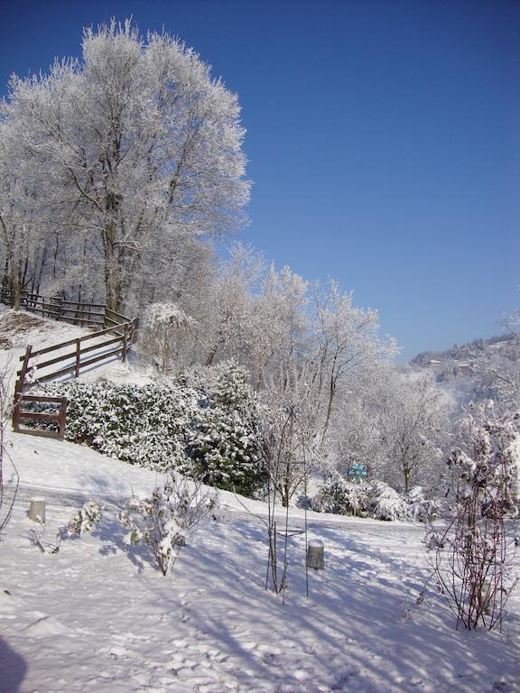 Cascina Nel Bosco Bed & Breakfast Moncucco Torinese Dış mekan fotoğraf