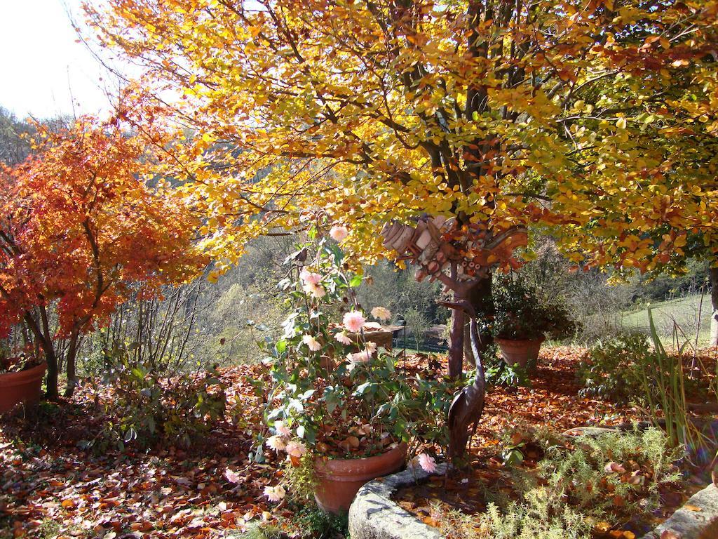 Cascina Nel Bosco Bed & Breakfast Moncucco Torinese Dış mekan fotoğraf