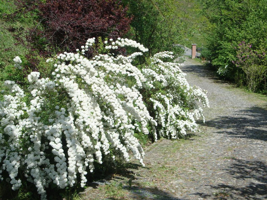 Cascina Nel Bosco Bed & Breakfast Moncucco Torinese Dış mekan fotoğraf